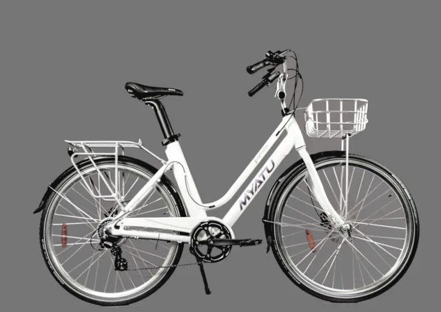 Lady electric bicycle