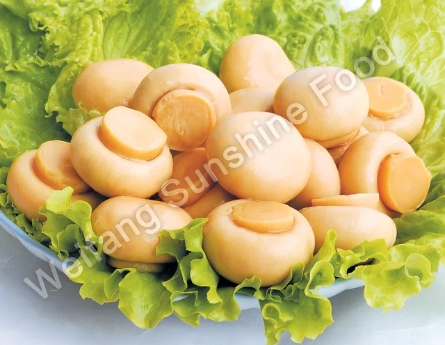 Fresh Mushroom
