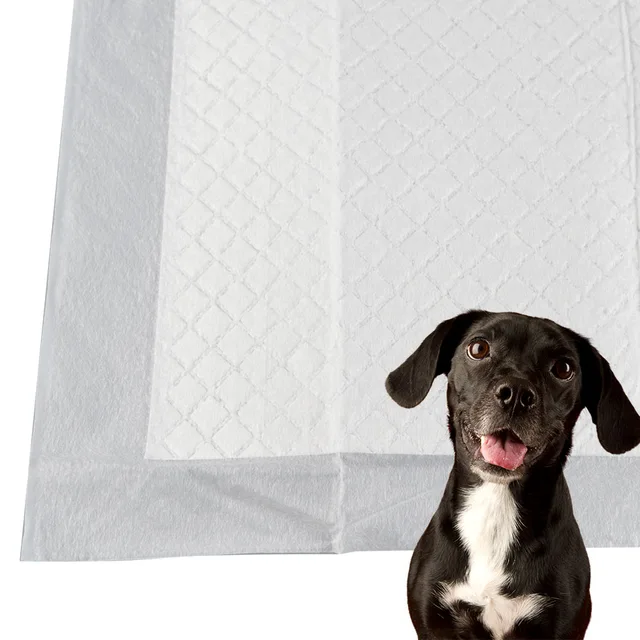Amazon attractant disposable pad pee pad with stickers good absorption