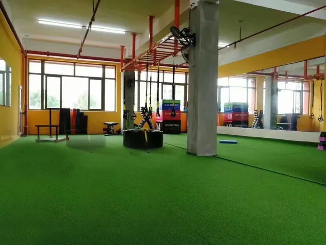 Artificial Turf