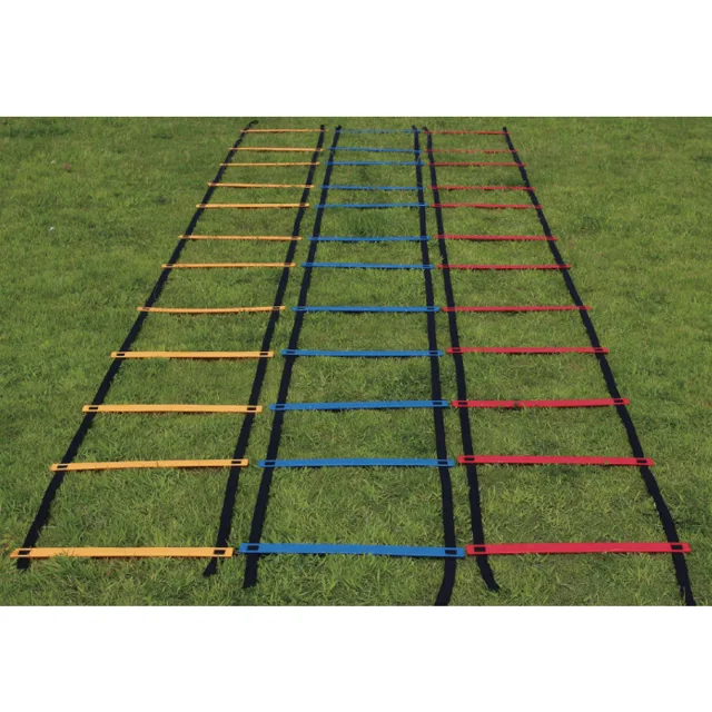 Training Ladder