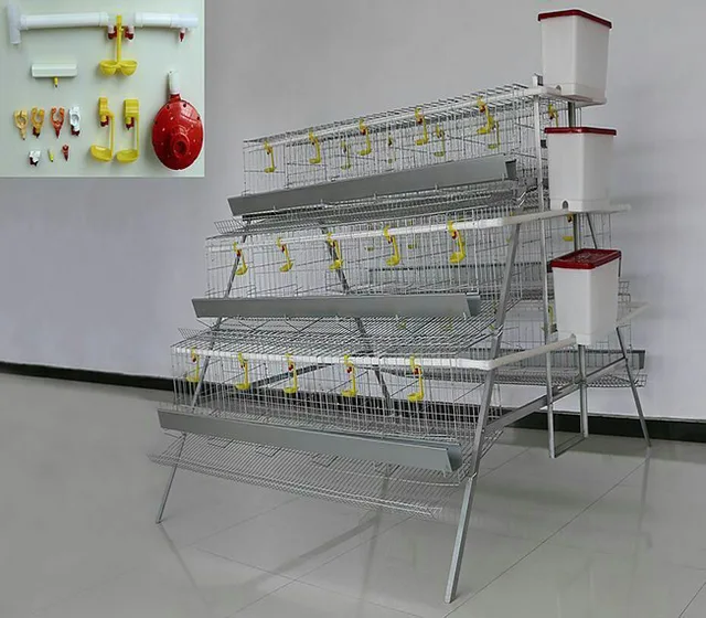 Chicken Cage