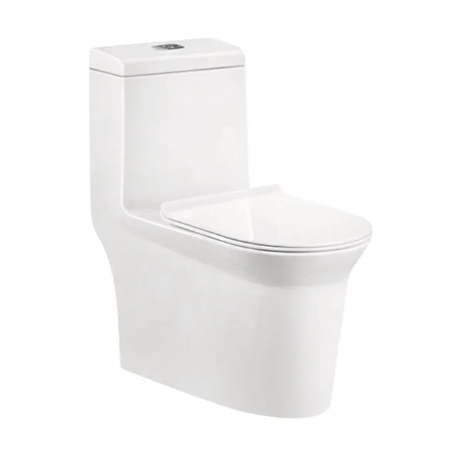One Piece Toilet