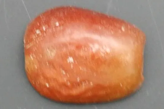Freeze-dried date