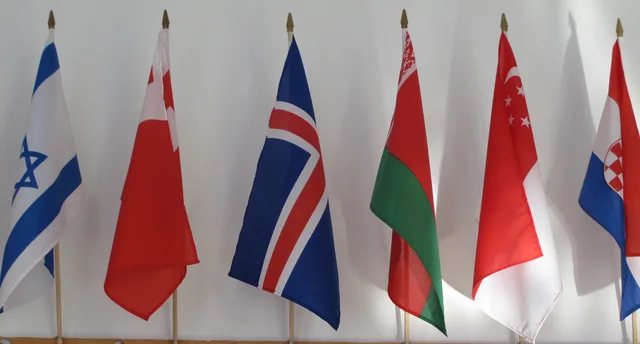 Flag-10
