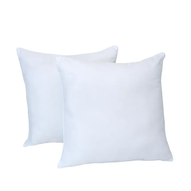 Cheap Wholesaler Pillow Insert Cushion