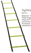 Agility ladder