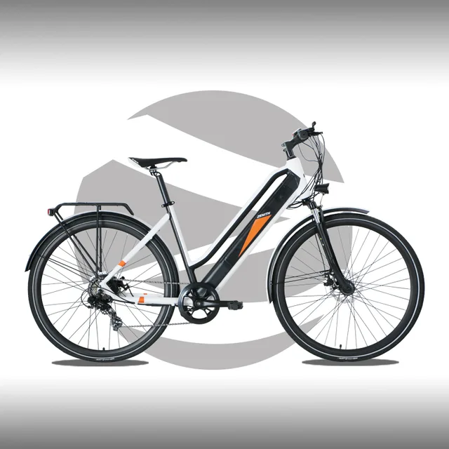 Ebike