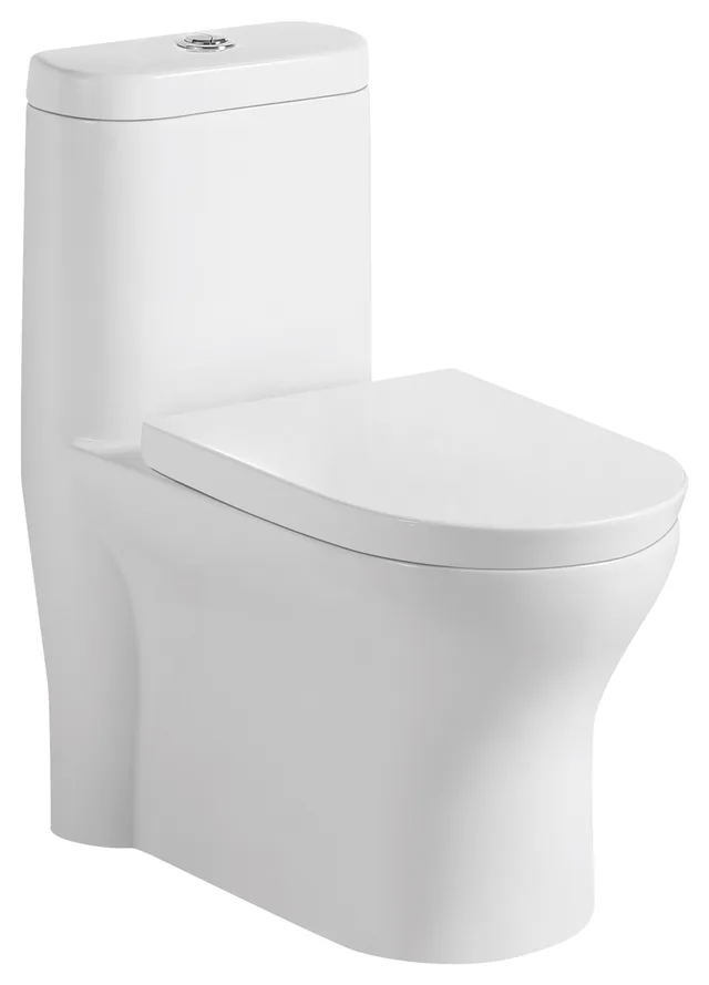Round Toilet