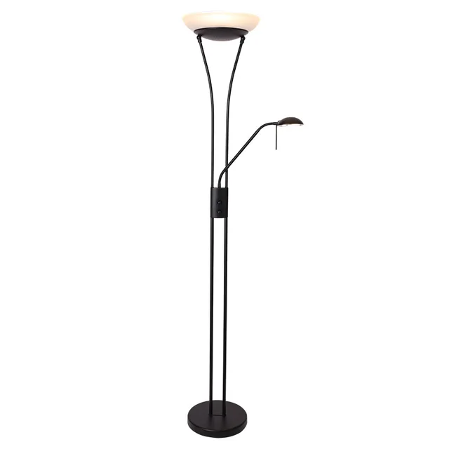 LED mother and son floor lamp