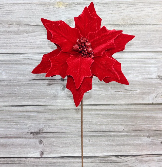Christmas flower