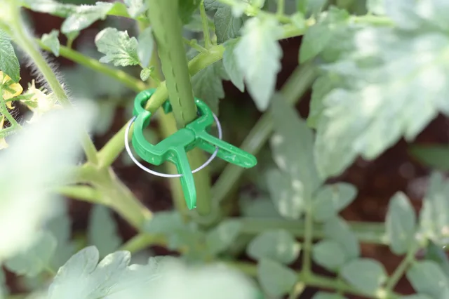 Plant Clips