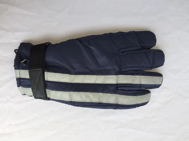 Ski Gloves