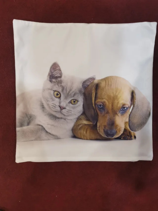 Printing cushion cover