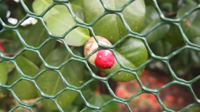 Farm fence
