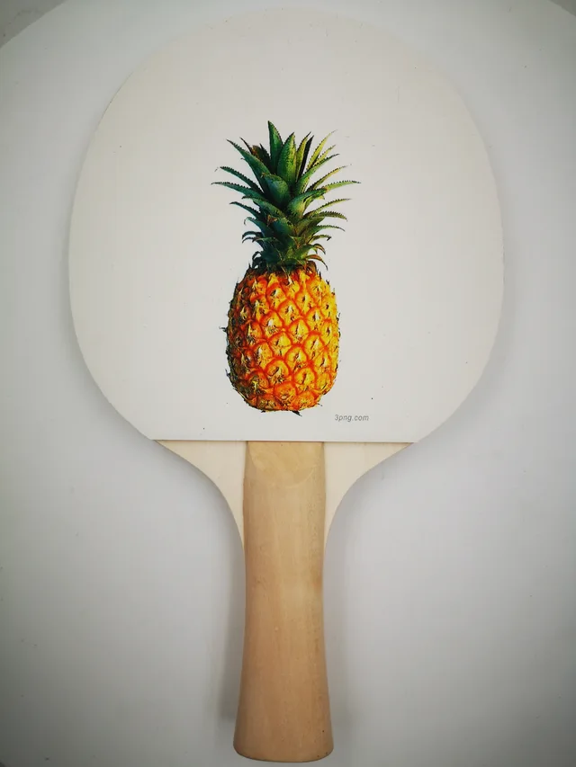 Tabel Tennis Paddle