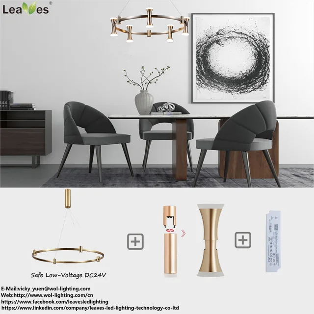 DIY-LED Pendant Light system