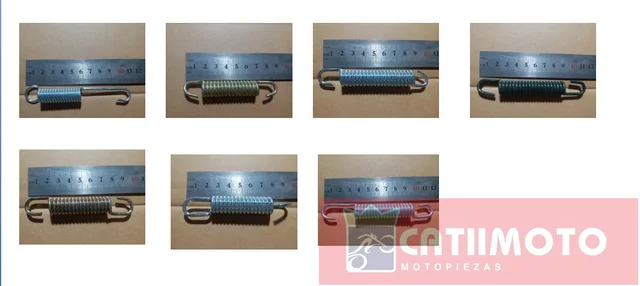 Motorcycle spring