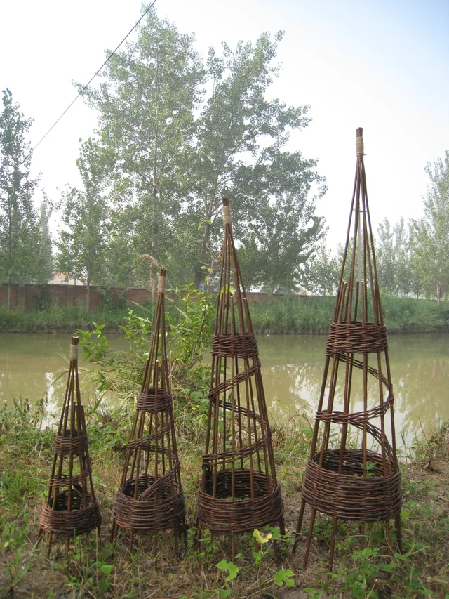 Willow pyramid