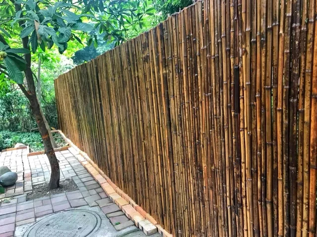 Dark bamboo fence