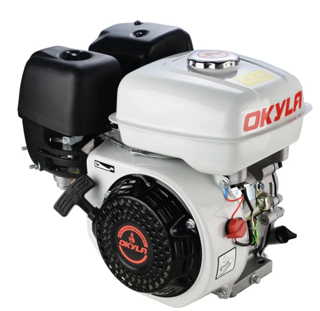 Gasoline Engine