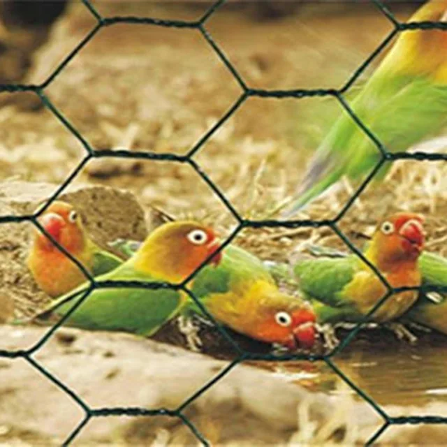 Chicken Wire Wire Mesh Wire Netting