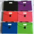 A4 / FC sunroof organ bag