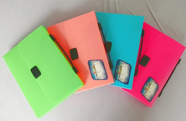 Action case with handle