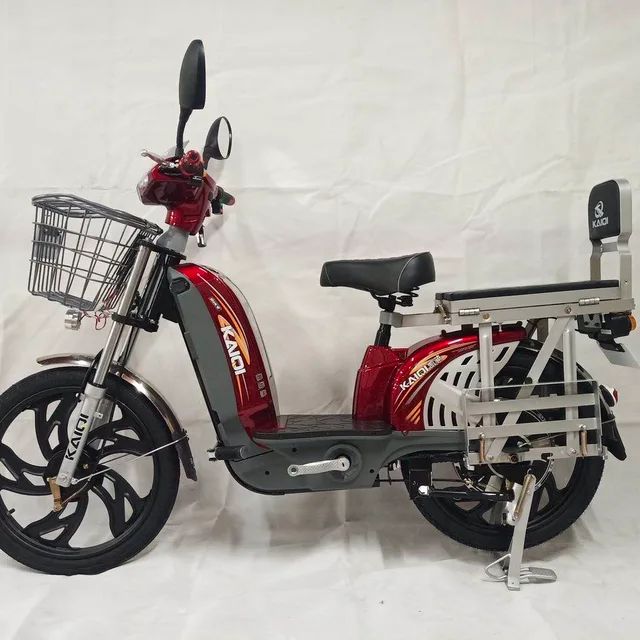 Electric Cycle