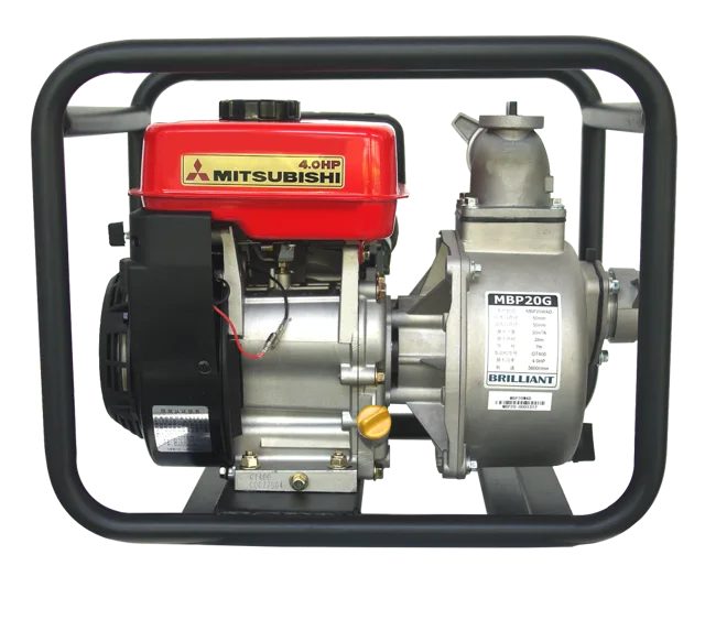 Gasoline engine pump