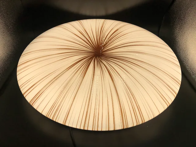 LED Ceiling Light