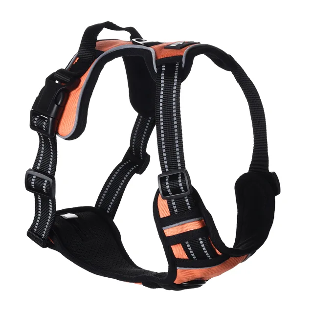 FIDA harness