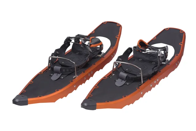 Alpine snow shoes