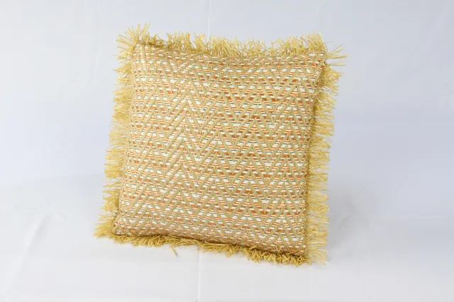Cushion
