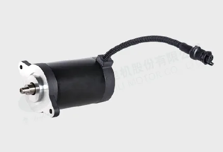 DC Brush Motors 80ZY