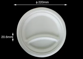Compostable tableware 8.75" 2compartments Plate