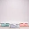 Stainless steel lunch box