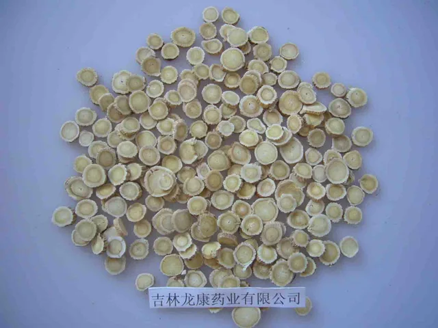 Astragalus Root