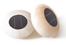 Solar Garden Light