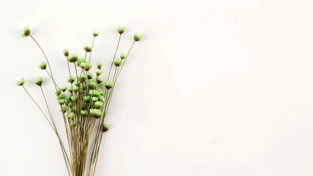 Dried flower adornment