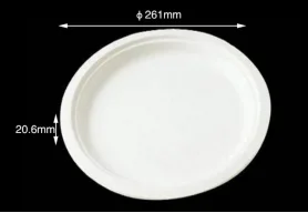 Disposable biodegradable tableware 10" Round Plate