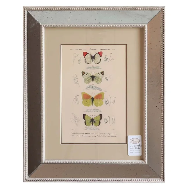 Antique taupe frame with picture
