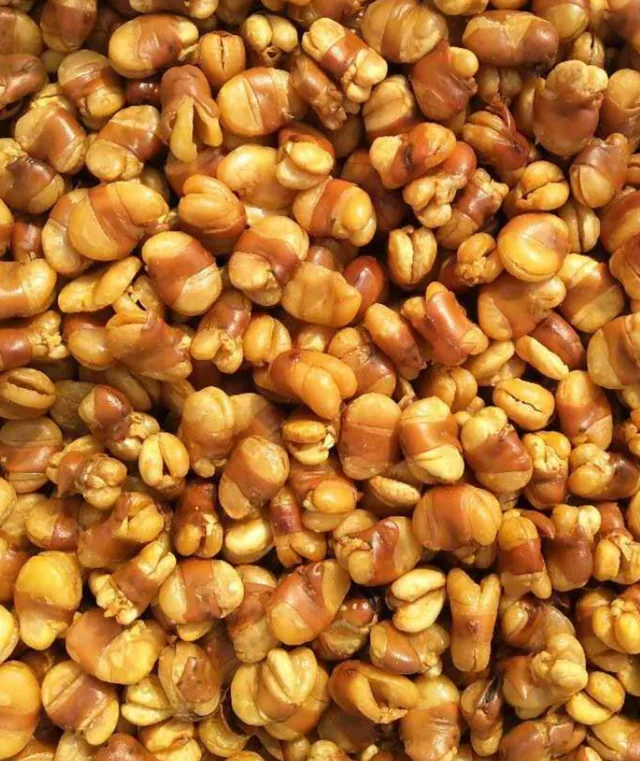 Fried Broad Beans