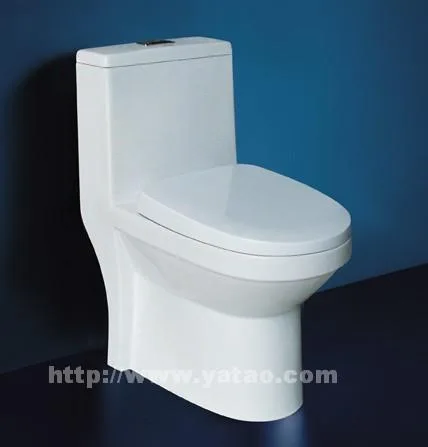 One-Piece Toilet