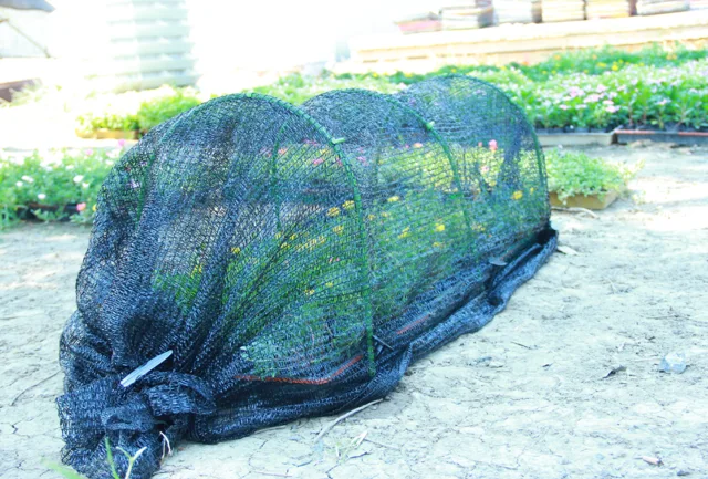 Shade net