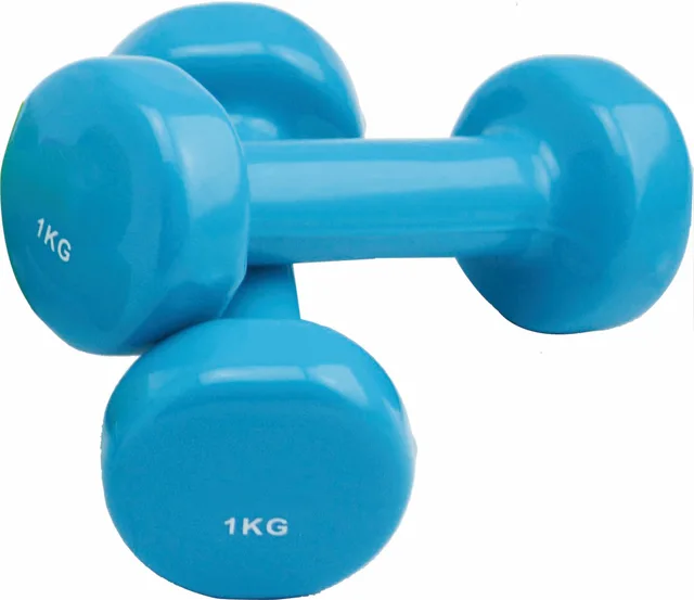 Vinyle Dipping Dumbbell