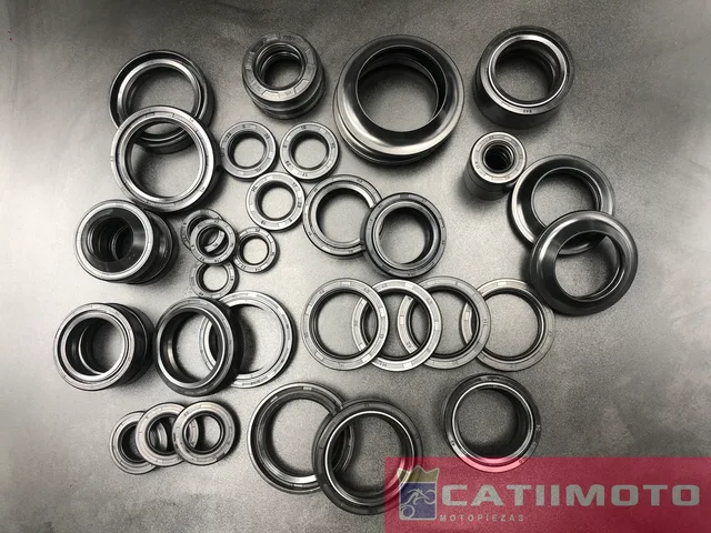 Motorcycle oil seal