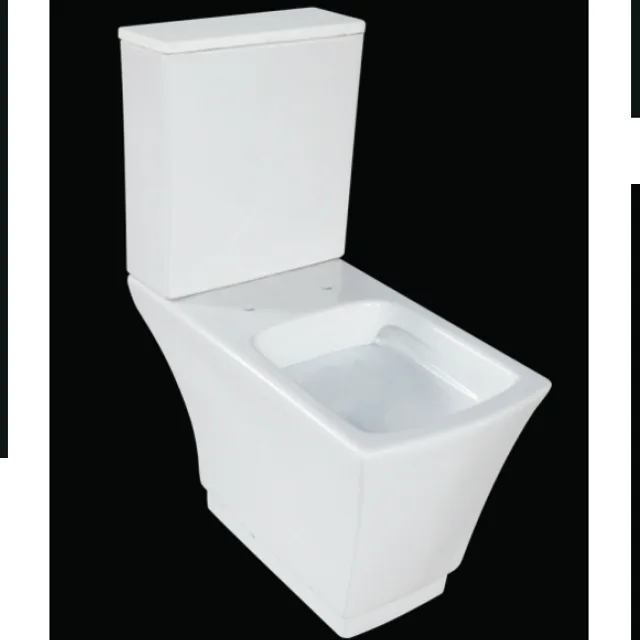 Powerful Rimless two piece toilet
