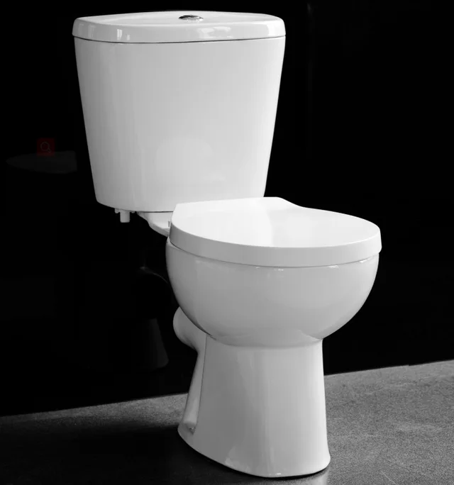 Washdown two piece toilet