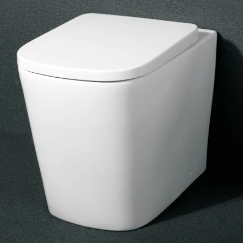 Rimless Back To Wall toilet